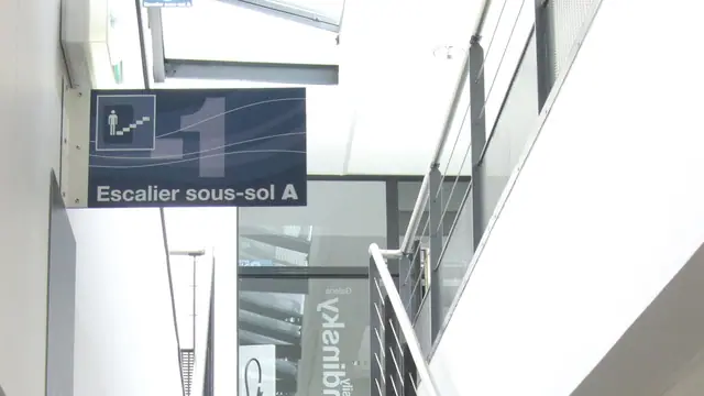 École nationale de musique, Villeurbanne, projet Pépin de Banane