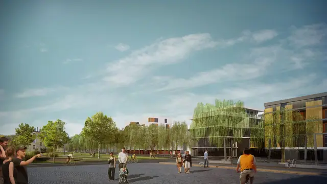 Quais de Saône, Lyon, projet Pépin de Banane